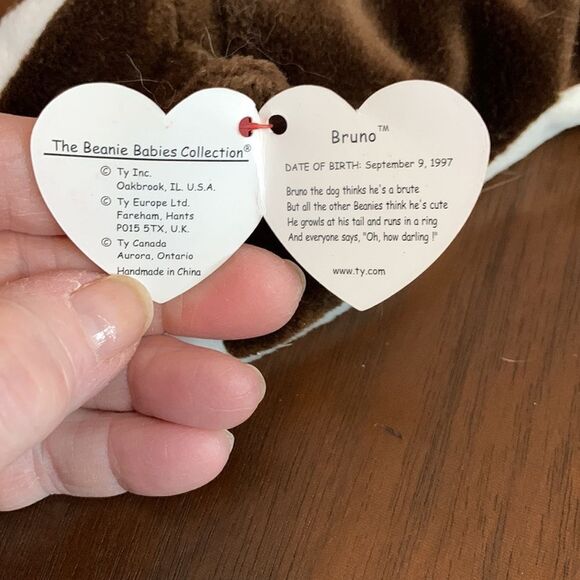 Bruno the puppy birthday, September 9, 1997 - Picture 4 of 6